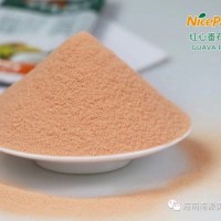 食品級番石榴粉，紅心芭樂粉供應(yīng)，海南水果粉生產(chǎn)廠家