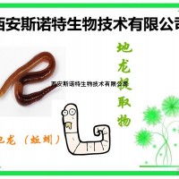 地龍?zhí)崛∥?0:1 斯諾特直銷 包郵 TLC檢測