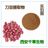 大刀豆提取物 藥食同源 供應(yīng)植物提取物定做挾劍豆粉