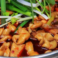 正宗四川肥腸雞肥腸魚底料批發(fā)廠家-技術指導BL2600