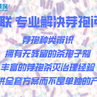 銅綠假單胞菌致病菌的消除方案 一種高效殺菌的方法