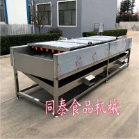 平行毛刷輥扇貝清洗機 牡蠣清洗機