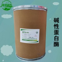 食用堿性蛋白酶加工廠家 堿性蛋白酶批發(fā)