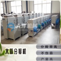 省人工型大蒜分瓣機(jī) 現(xiàn)貨供應(yīng)不傷蒜型大蒜破瓣機(jī)