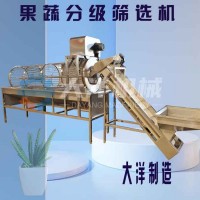 蒜頭分級機 FJ型全不銹鋼滾筒式土豆分選機 專業(yè)板栗分級機