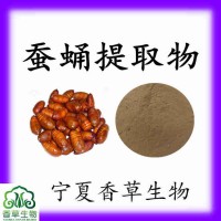 蠶蛹提取物10:1速溶蠶蛹粉200目蠶蛹凍干粉