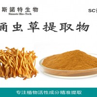 蛹蟲草提取物 蛹蟲草粉
