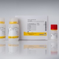 酶法檢測(cè)檸檬酸（即用型液體劑型檸檬酸試劑盒）