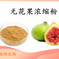 無花果速溶粉 固體飲料原料 資質(zhì)齊全 可免費(fèi)試樣