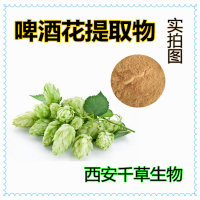 水溶性植物提取物啤酒花浸膏粉 供應(yīng)啤酒花濃縮原液