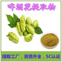 啤酒花提取物 啤酒花黃酮