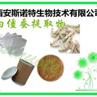 白僵蠶提取物 10:1 白僵蠶粉 斯諾特廠家包郵