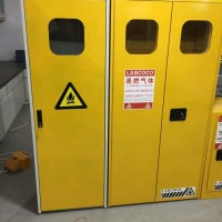 信凱科技專業(yè)出售防火防爆雙氣瓶柜