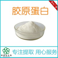 魚膠原蛋白99% 食品級(jí)膠原蛋白廠家