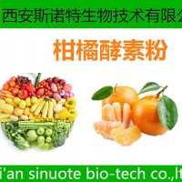 柑橘酵素粉 柑橘粉 酵素粉 廠家現(xiàn)貨