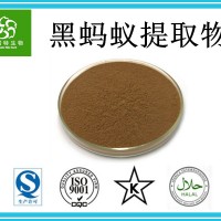黑螞蟻提取物10:1黑螞蟻提取粉20:1 速溶黑螞蟻粉 批發(fā)