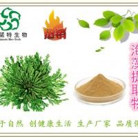 供應(yīng)：天然海藻提取物 海藻多糖30% 可定制規(guī)格