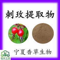 刺玫果提取物10:1 20:1刺玫果粉速溶粉刺玫果凍干粉