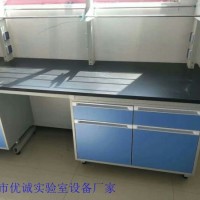 鋼木臺(tái)式通風(fēng)柜器皿柜定做儀器臺(tái)試劑架生產(chǎn)批發(fā)實(shí)驗(yàn)臺(tái)廠家
