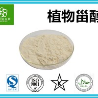 植物甾醇95%含量 源頭廠家 現(xiàn)貨供應(yīng)
