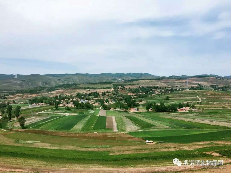 基地圖片