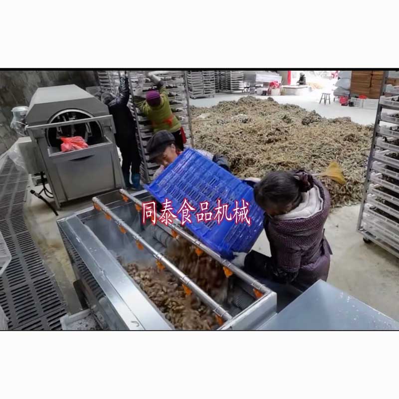 黃精清洗機(jī)1