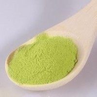 綠茶粉-廠家