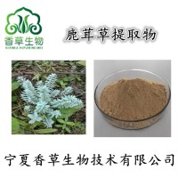 鹿茸草提取物黃酮10:1鹿茸草粉鹿茸草提取液