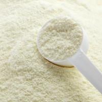 濃縮乳清蛋長期供應(yīng)