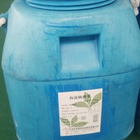 海藻糖糖漿--70kg桶用于冷飲，餡料鐘薛高等