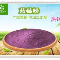藍(lán)莓粉 藍(lán)莓果粉 藍(lán)莓提取物