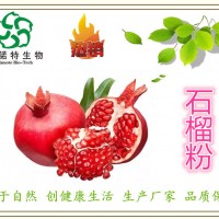 石榴粉 石榴汁粉99% 石榴汁濃縮粉 斯諾特 原料