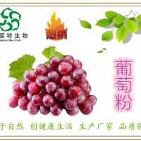 供應(yīng)：葡萄粉 葡萄提取物 葡萄膳食纖維 廠家包郵