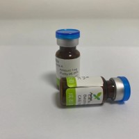毛蕊花糖苷【CAS號(hào)】  61276-17-3 對(duì)照品