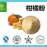 柑橘果粉 柑橘粉 廠家批發(fā)飲料果粉原料 水果粉
