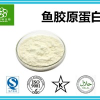 魚膠原蛋白90% 魚骨膠原 源頭廠家專業(yè)供應(yīng)膠原蛋白