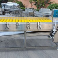 果蔬去雜機 雙層毛輥式果蔬清洗去雜設(shè)備 去毛發(fā)設(shè)備