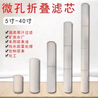 折疊濾芯微孔PP膜聚四氟聚醚砜飲料酒水過濾衛(wèi)生級精密過濾濾芯