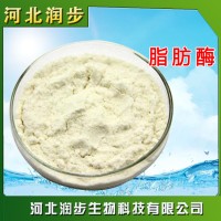 脂肪酶A1在食品加工中的應(yīng)用