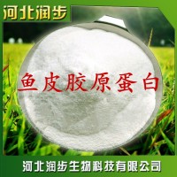廠家直銷魚皮膠原蛋白使用說(shuō)明報(bào)價(jià)添加量用途