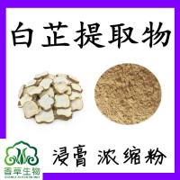 白芷提取物 白芷粉 川白芷濃縮粉20:1 白芷提取液 浸膏