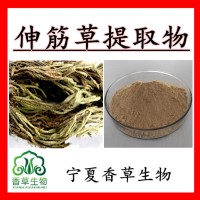 伸筋草提取物黃酮10:1 白毛夏枯草提取物 筋骨草提取物