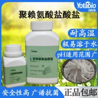 元泰寶聚賴氨酸鹽酸鹽 水果蔬菜 堅果類 米面制品 食品防腐劑