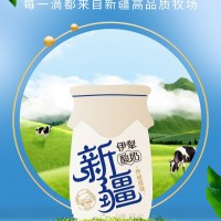 新疆低溫原味老酸奶180g仿瓷瓶裝直營代理