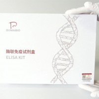 牛C反應(yīng)蛋白ELISA試劑盒