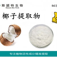 椰子粉 椰子提取物 天然萃取水果粉
