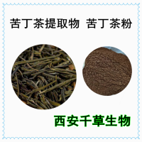 黃漿果提取物黃漿果濃縮浸膏粉 供應(yīng)苦丁茶粉