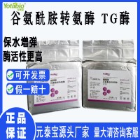 谷氨酰胺轉(zhuǎn)氨酶食品級(jí)tg酶碎肉重組 肉制品TGA12型