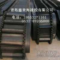 大傾角擋邊輸送帶、波狀擋邊輸送帶廠家