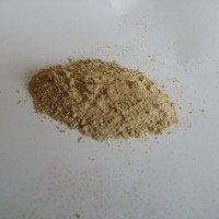 人參提取物   人參皂甙10%  人參莖葉提取物